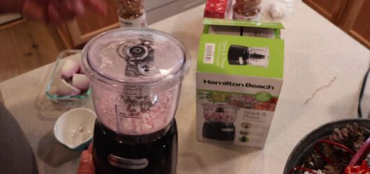 Is the Hamilton Beach 3-cup food processor worth under $30?