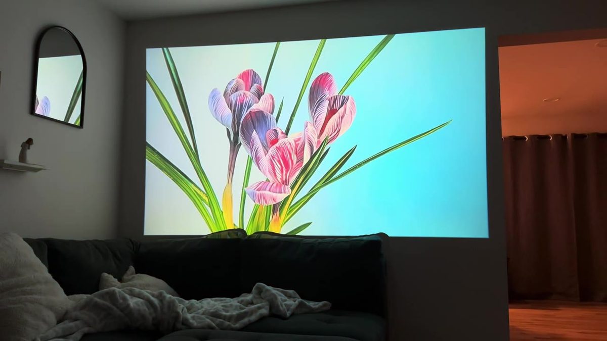 Living-room wall projection of flowers from the AuKing projector