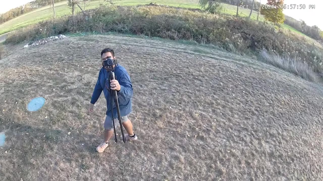 Daytime walk track