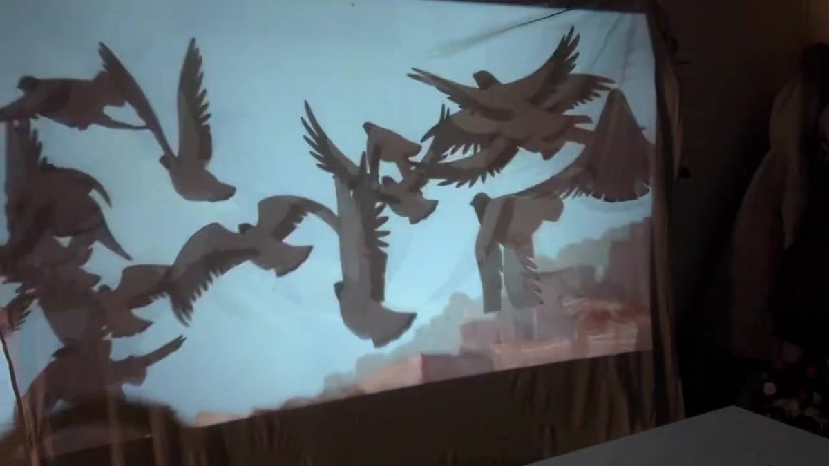 Sheet hung as a screen with pigeons projected in the living room