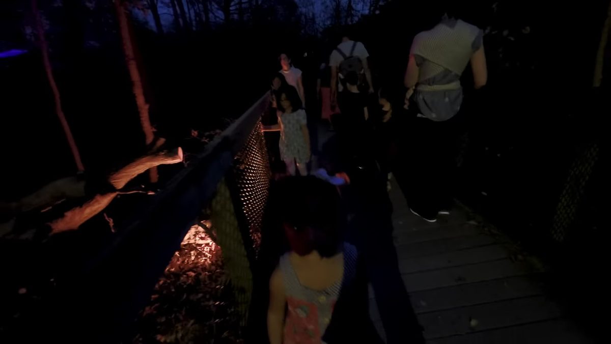 Night boardwalk sample filmed on DJI Action 5 Pro