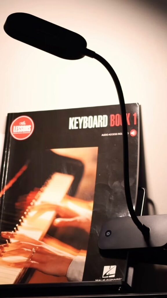 Is the Honeywell clip-on reading light worth it for reading in bed?