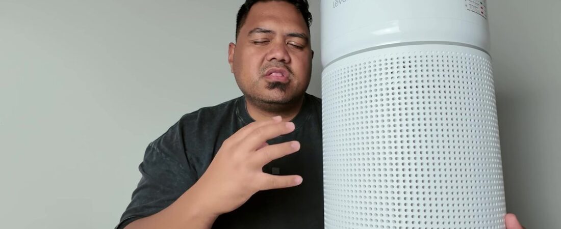 Does the Levoit Eleva 500X air purifier really run itself on Auto Mode?